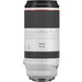 Canon RF 100-500mm F/4.5-7.1 L IS USM Lens