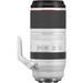 Canon RF 100-500mm F/4.5-7.1 L IS USM Lens